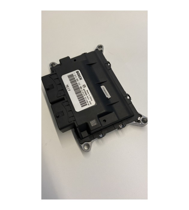 Segway Fugleman UT10 ECU