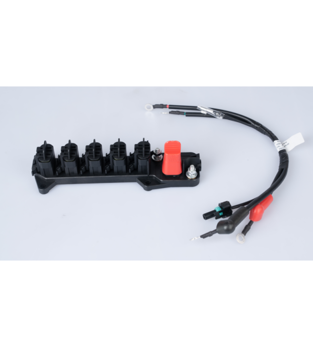 Segway Power distributor Fugleman